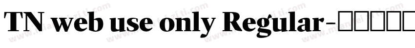 TN web use only Regular字体转换